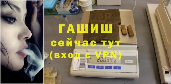 индика Горняк
