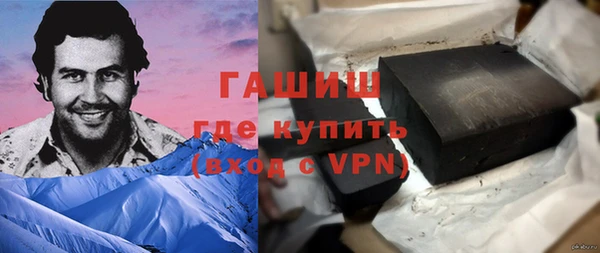 индика Горняк