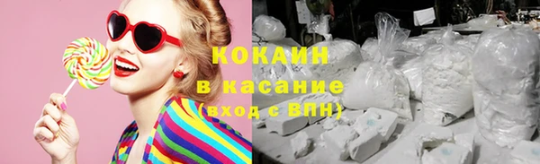 индика Горняк