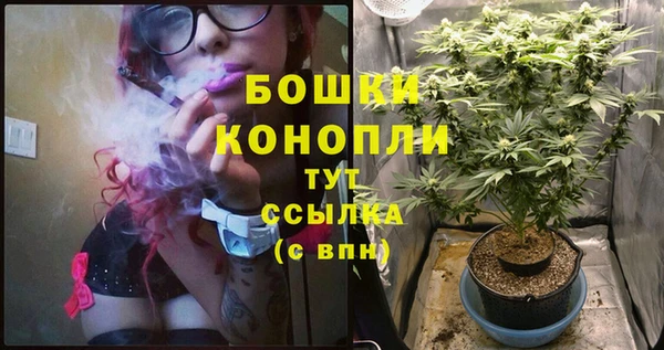 хмурый Дмитров