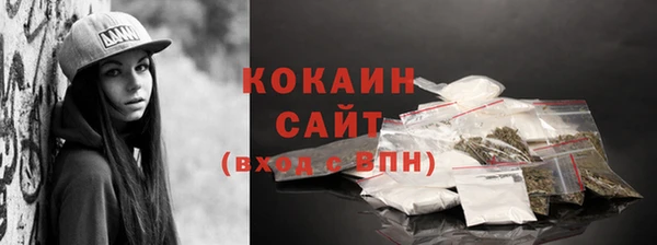 индика Горняк