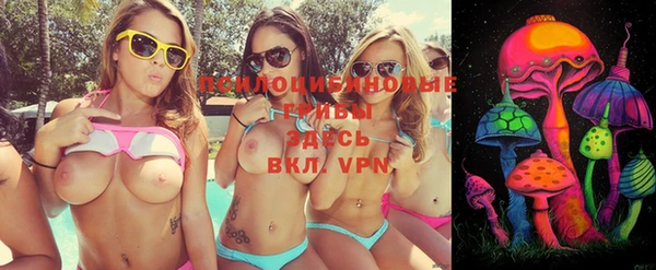 хмурый Дмитров