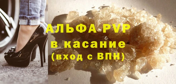 индика Горняк