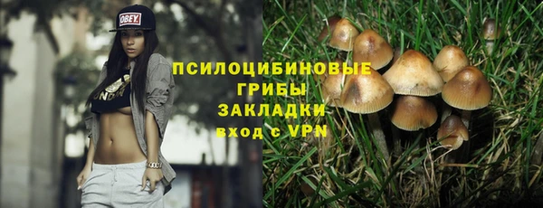 индика Горняк