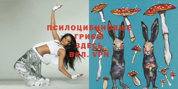 хмурый Дмитров