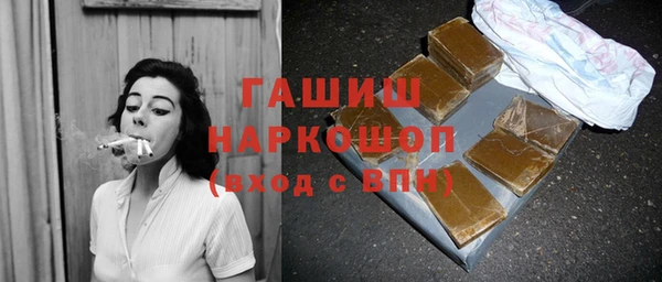 индика Горняк