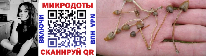 OMG вход  Березники  Галлюциногенные грибы мухоморы 